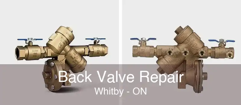 Back Valve Repair Whitby - ON