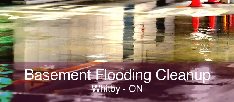 Basement Flooding Cleanup Whitby - ON