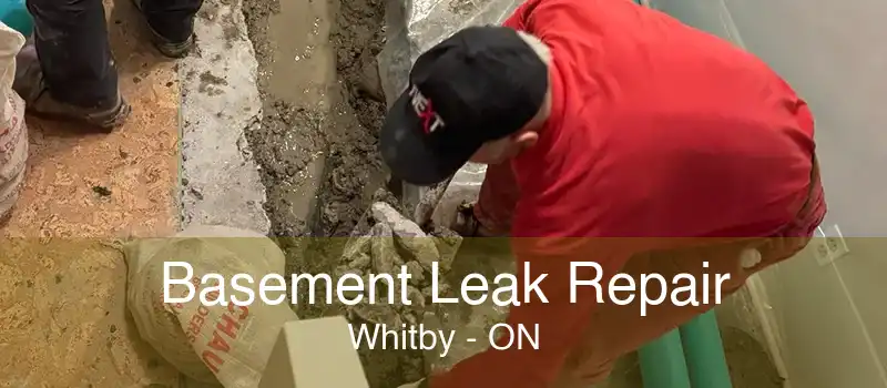 Basement Leak Repair Whitby - ON