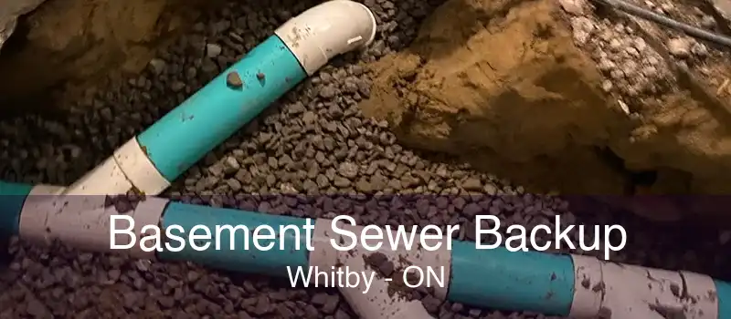 Basement Sewer Backup Whitby - ON