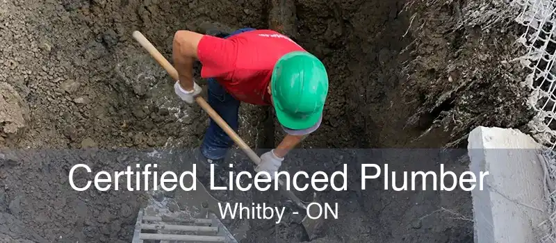 Certified Licenced Plumber Whitby - ON