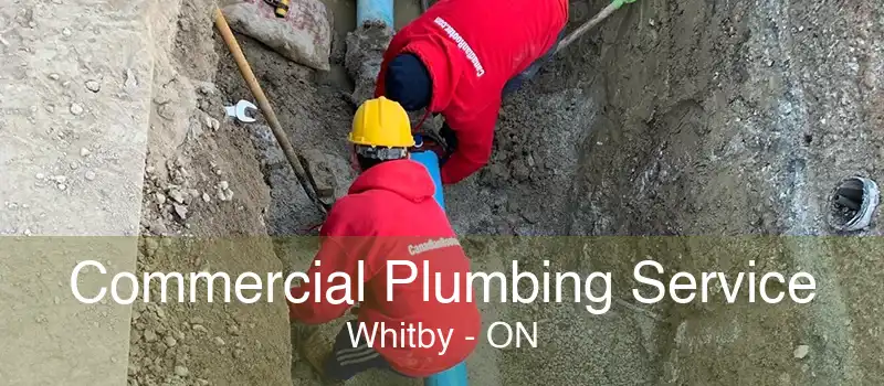 Commercial Plumbing Service Whitby - ON