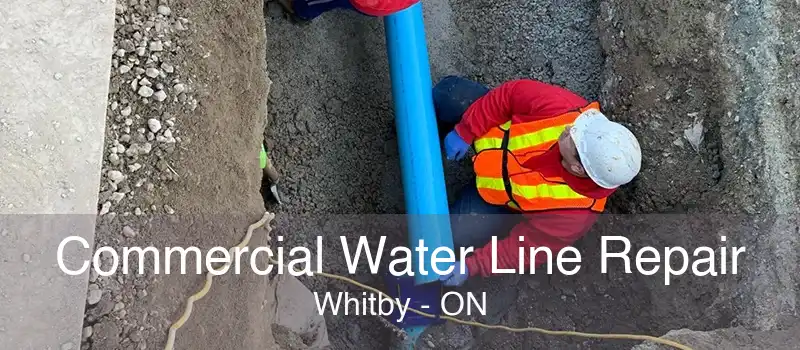 Commercial Water Line Repair Whitby - ON
