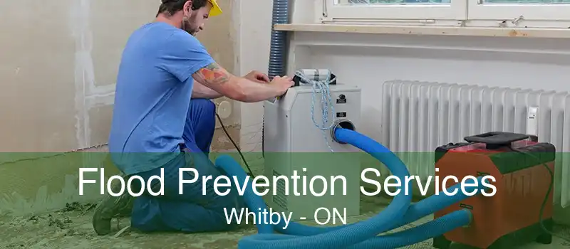 Flood Prevention Services Whitby - ON