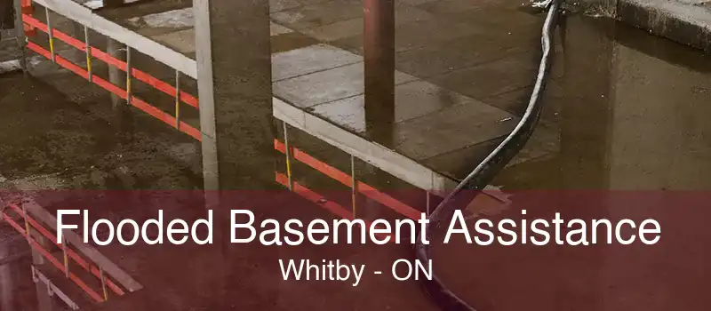 Flooded Basement Assistance Whitby - ON