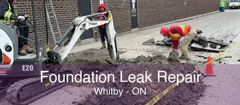 Foundation Leak Repair Whitby - ON