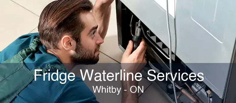 Fridge Waterline Services Whitby - ON
