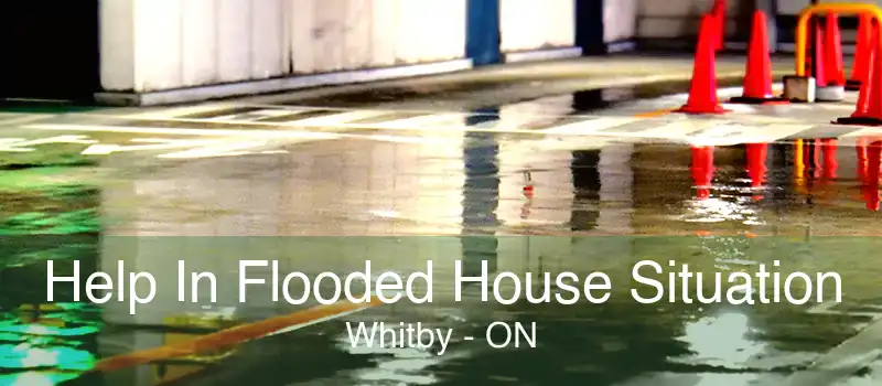 Help In Flooded House Situation Whitby - ON