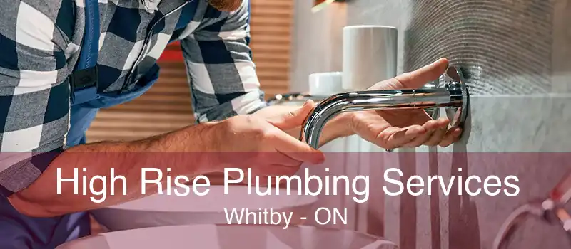 High Rise Plumbing Services Whitby - ON