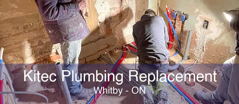 Kitec Plumbing Replacement Whitby - ON