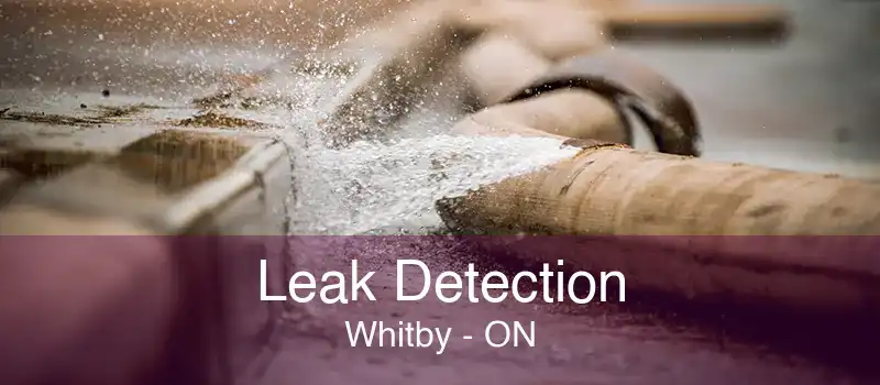 Leak Detection Whitby - ON