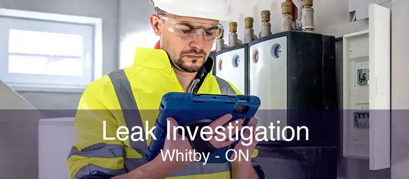 Leak Investigation Whitby - ON