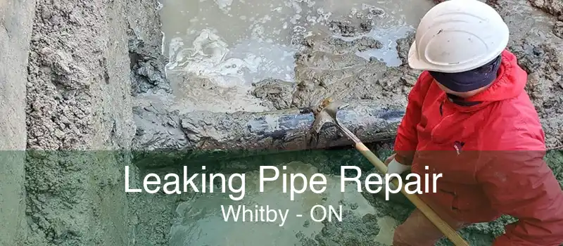 Leaking Pipe Repair Whitby - ON