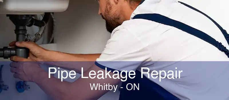 Pipe Leakage Repair Whitby - ON