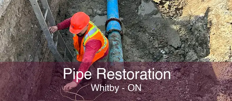 Pipe Restoration Whitby - ON