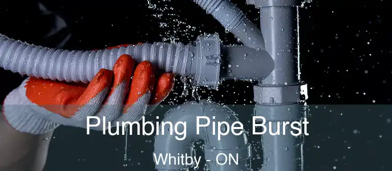  Plumbing Pipe Burst Whitby - ON