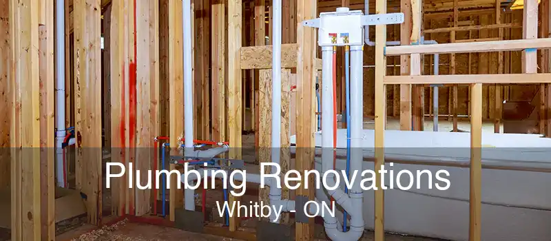 Plumbing Renovations Whitby - ON