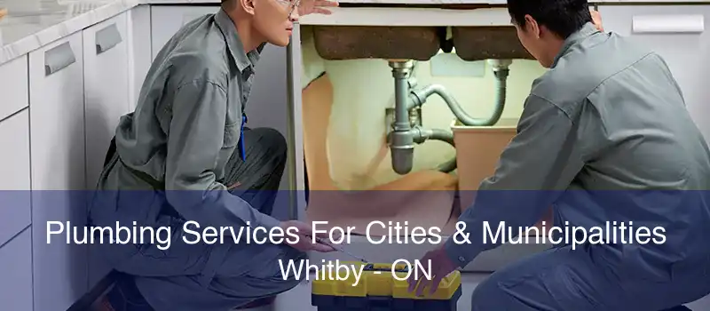 Plumbing Services For Cities & Municipalities Whitby - ON