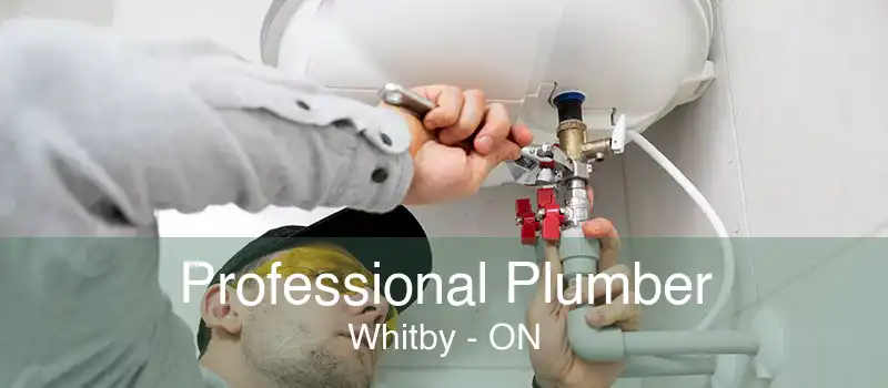 Professional Plumber Whitby - ON