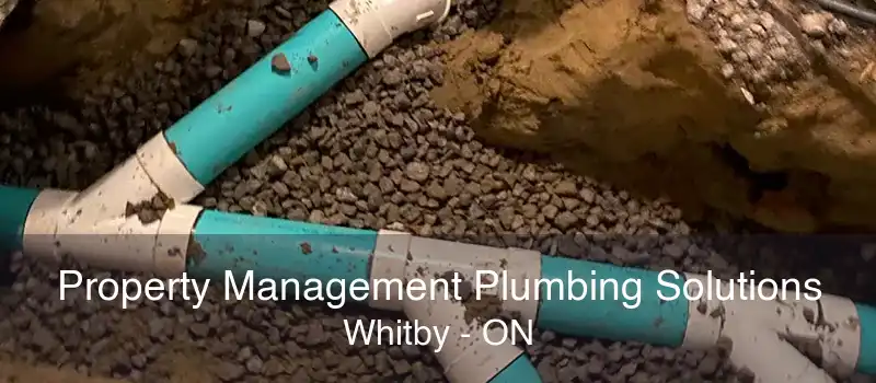 Property Management Plumbing Solutions Whitby - ON