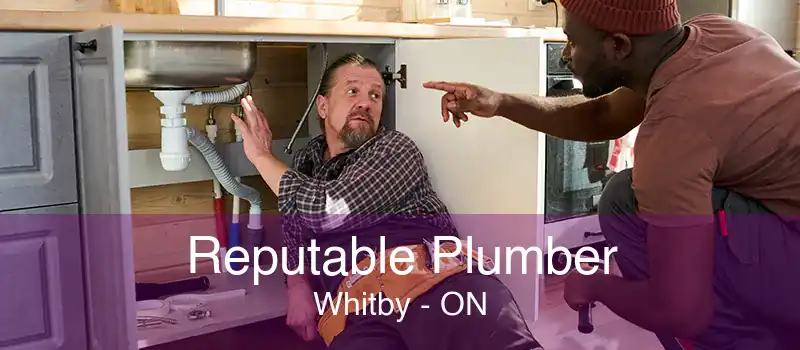 Reputable Plumber Whitby - ON