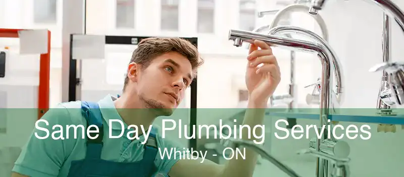 Same Day Plumbing Services Whitby - ON