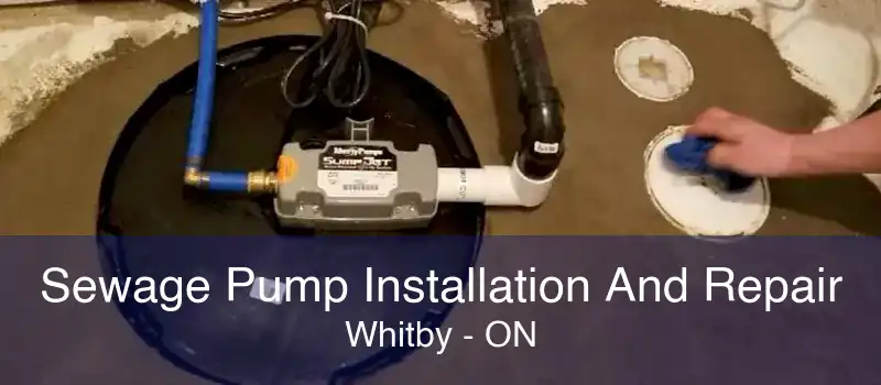Sewage Pump Installation And Repair Whitby - ON