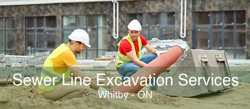 Sewer Line Excavation Services Whitby - ON