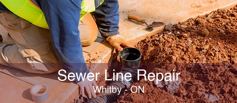 Sewer Line Repair Whitby - ON