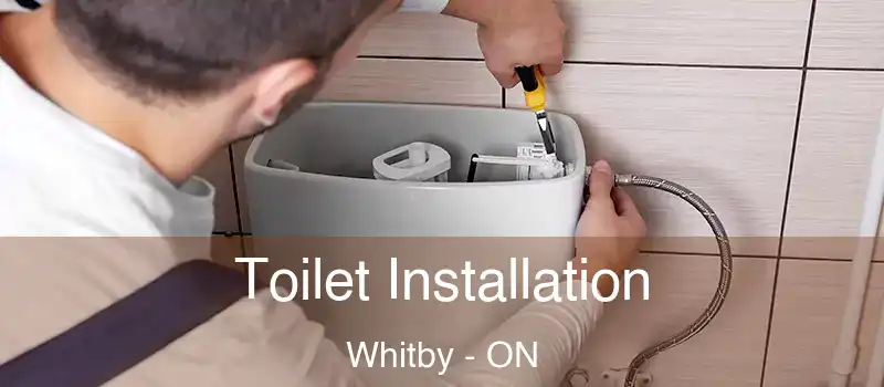  Toilet Installation Whitby - ON