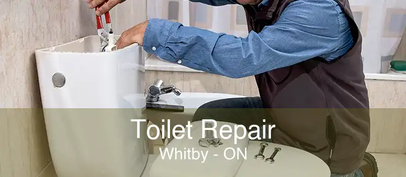 Toilet Repair Whitby - ON