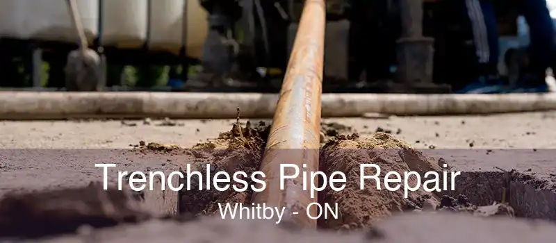 Trenchless Pipe Repair Whitby - ON