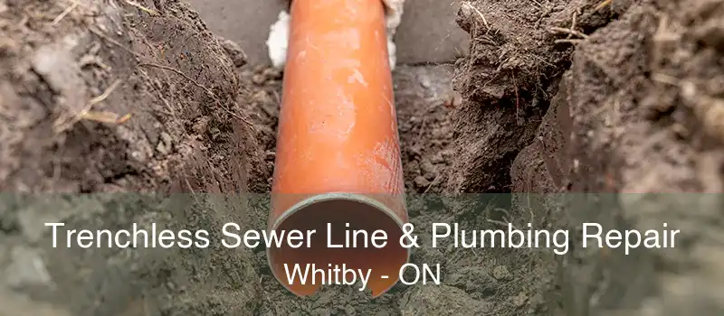 Trenchless Sewer Line & Plumbing Repair Whitby - ON