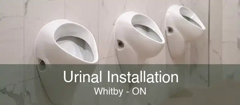 Urinal Installation Whitby - ON
