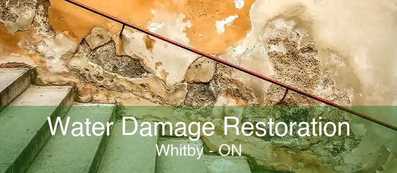 Water Damage Restoration Whitby - ON