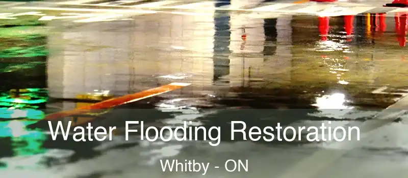  Water Flooding Restoration Whitby - ON