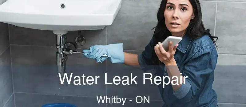  Water Leak Repair Whitby - ON