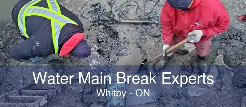 Water Main Break Experts Whitby - ON