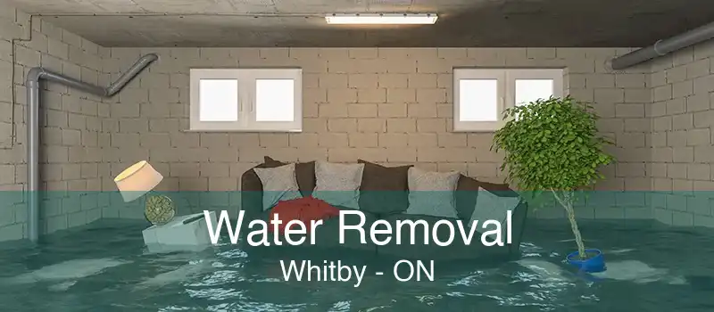 Water Removal Whitby - ON